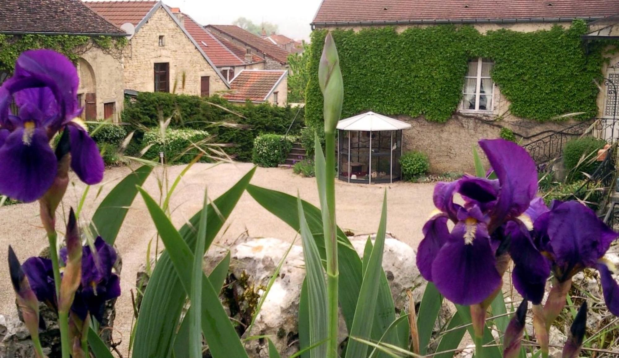 Le Chateau De Prauthoy Ngoại thất bức ảnh